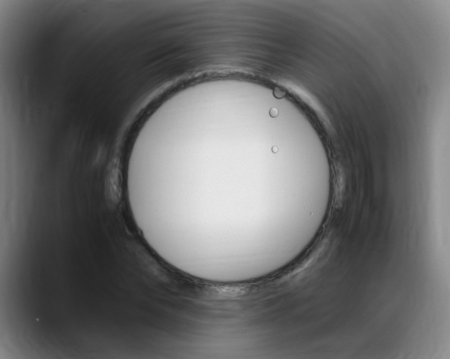 X0000089370878200706150841