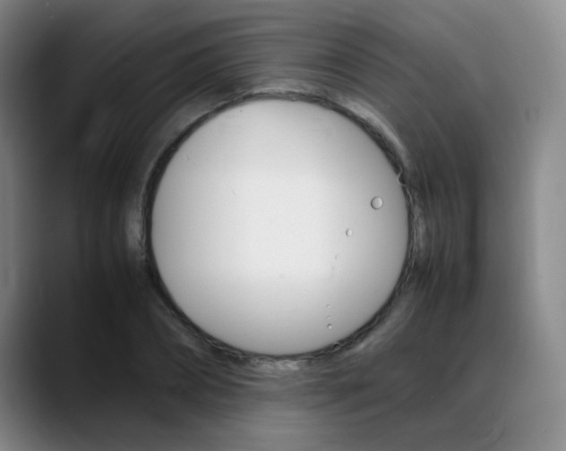 X0000089370882200706150841