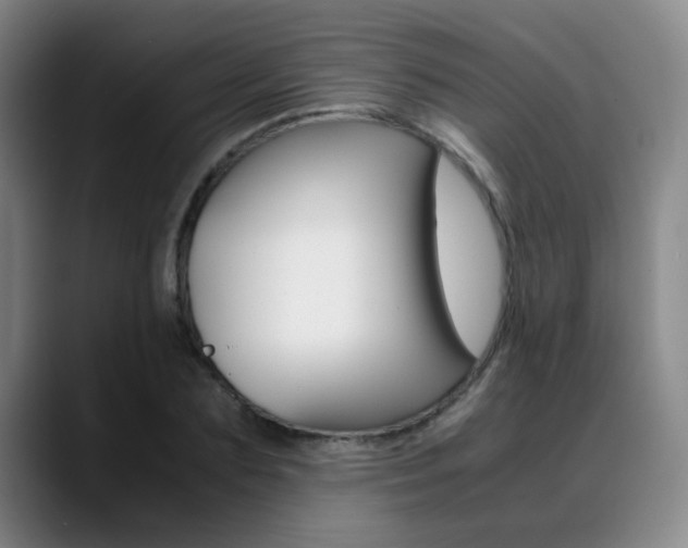 X0000089370883200706150841