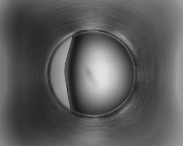 X0000089370885200706150841
