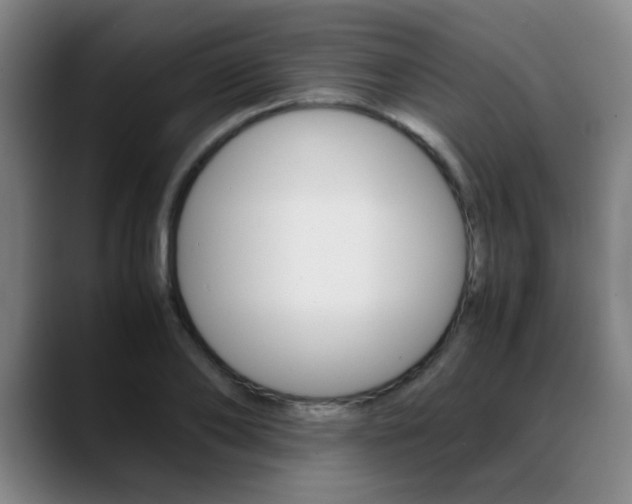 X0000089370886200706150841