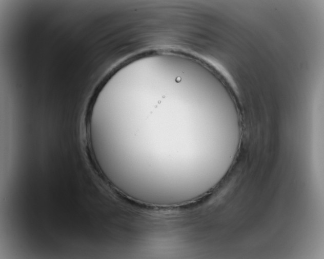 X0000089370887200706150841