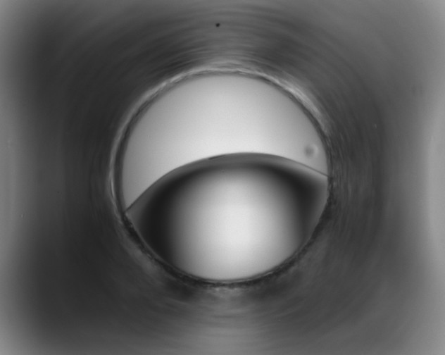 X0000089370888200706150841
