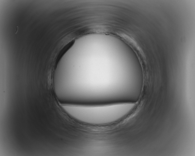 X0000089370889200706150841