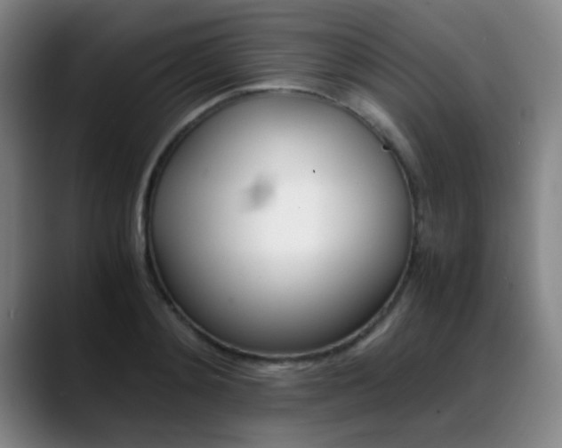 X0000089370892200706150841