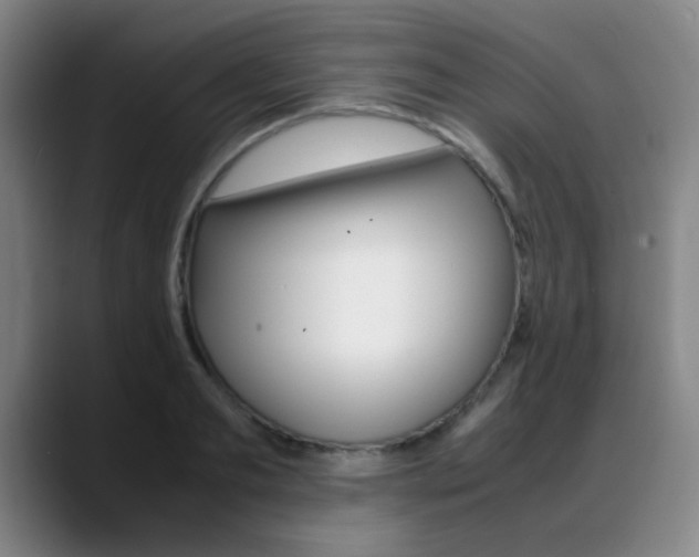 X0000089370893200706150841