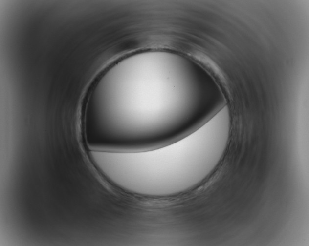 X0000089370894200706150841