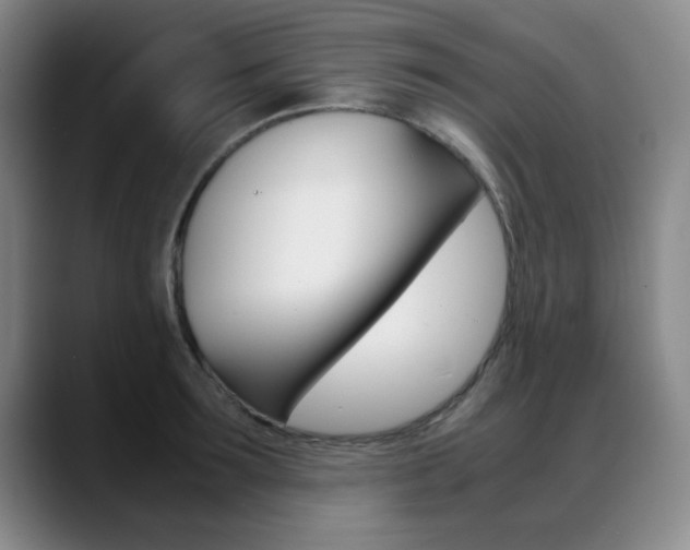 X0000089370899200706150841