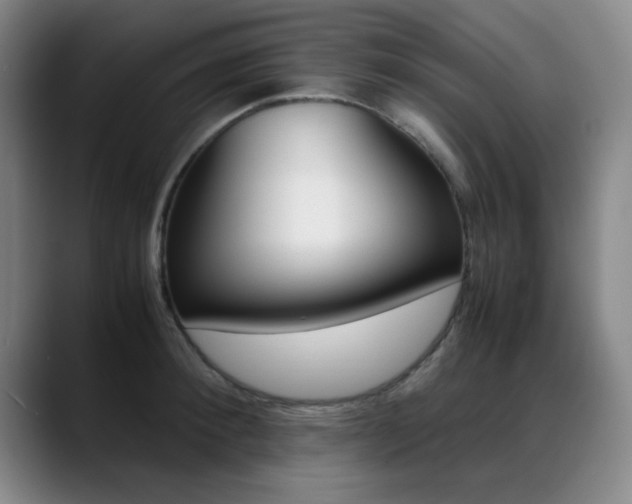 X0000089370900200706150841