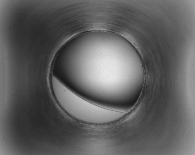 X0000089370901200706150841