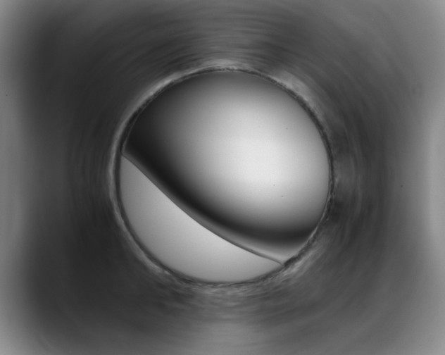X0000089370902200706150841