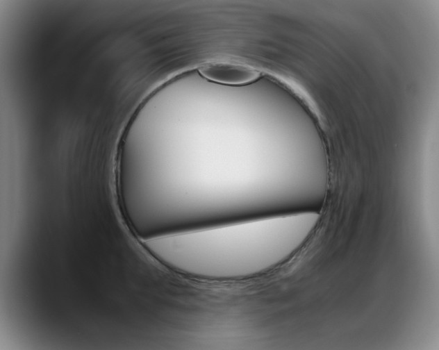 X0000089370903200706150841