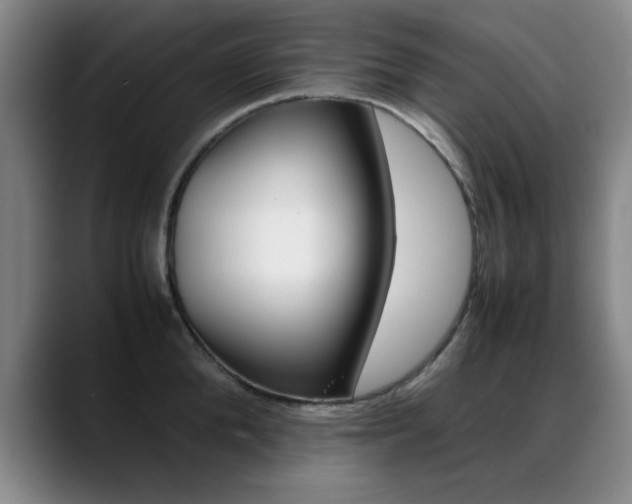 X0000089370904200706150841
