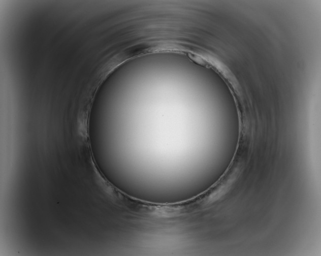 X0000089370905200706150841