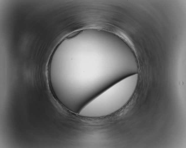 X0000089370907200706150841