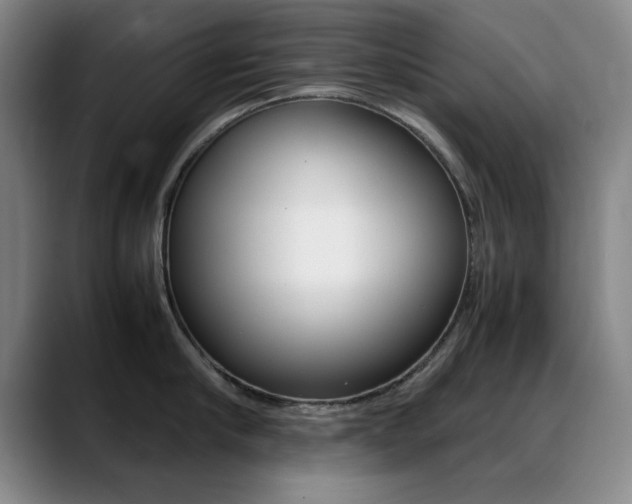 X0000089370910200706150841