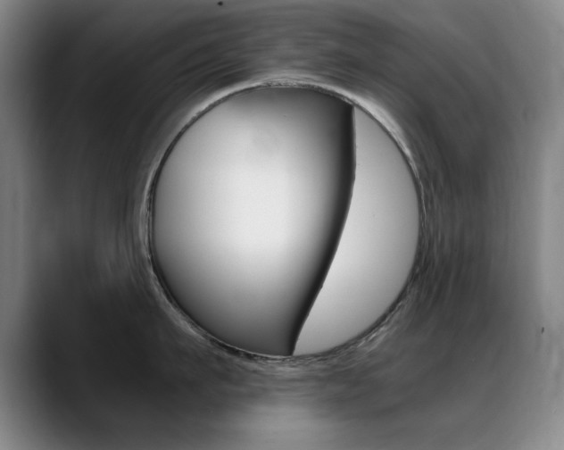 X0000089370911200706150841
