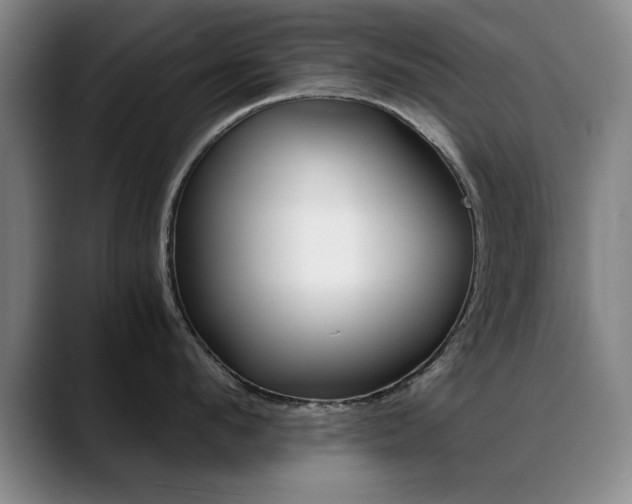 X0000089370912200706150841