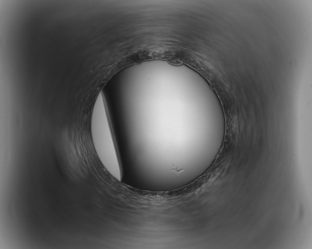 X0000089370914200706150840