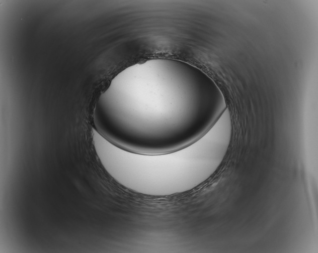 X0000089370916200706150840