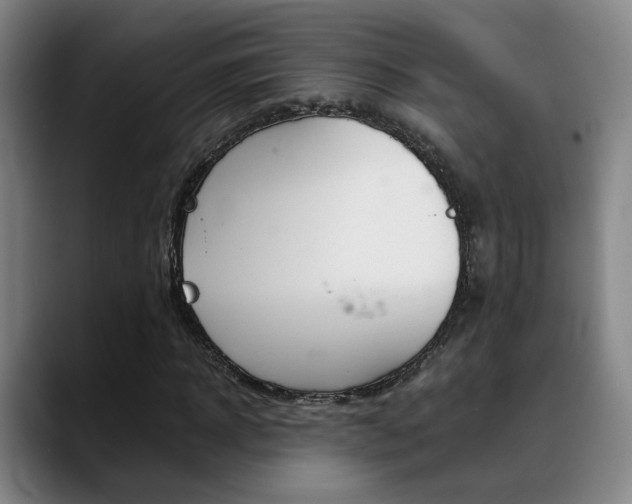 X0000089370918200706150840