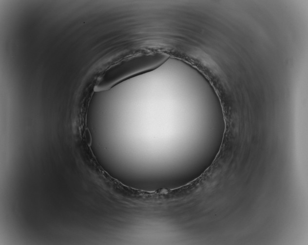 X0000089370920200706150840