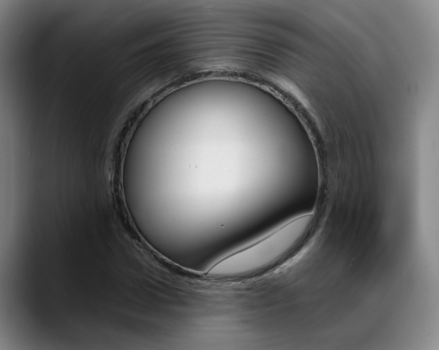 X0000089370922200706150840