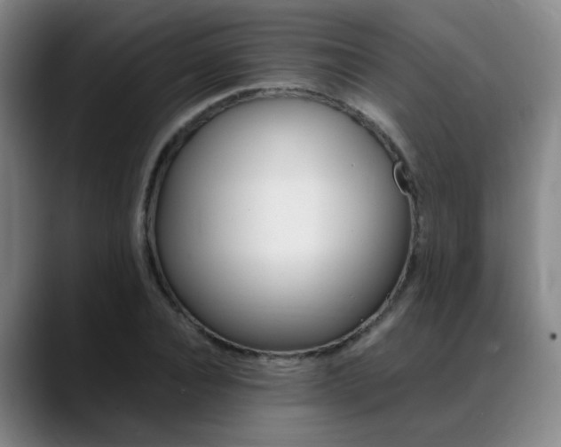 X0000089370928200706150840