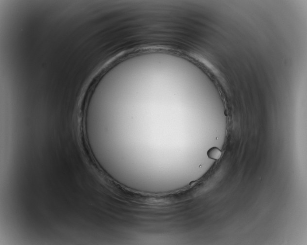 X0000089370933200706150840