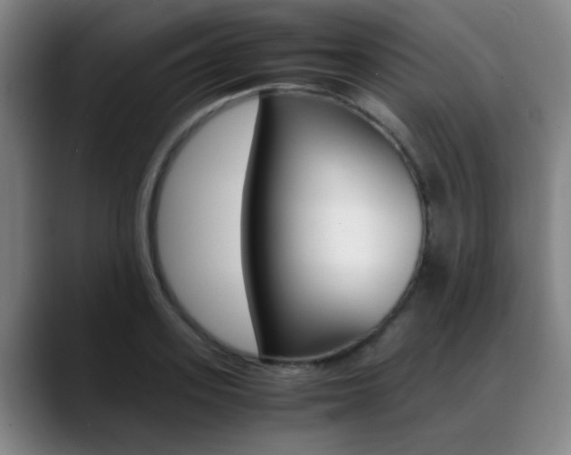 X0000089370939200706150840
