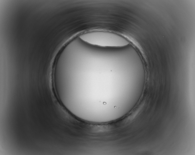 X0000089370941200706150840