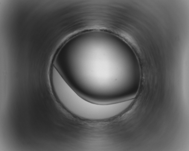 X0000089370942200706150840