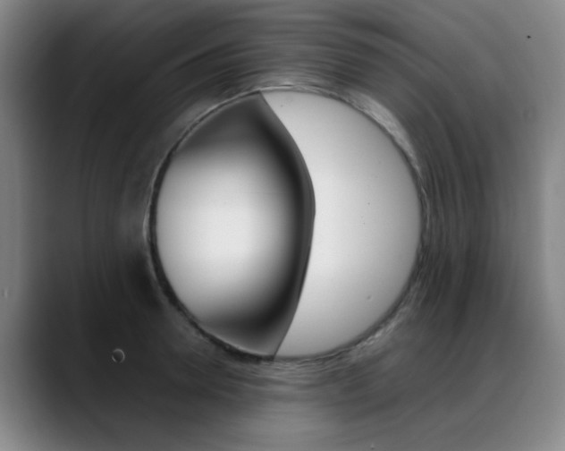 X0000089370946200706150840