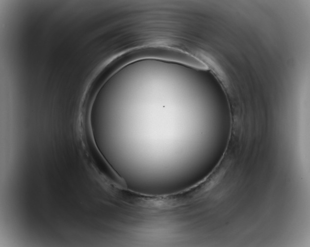 X0000089370948200706150840