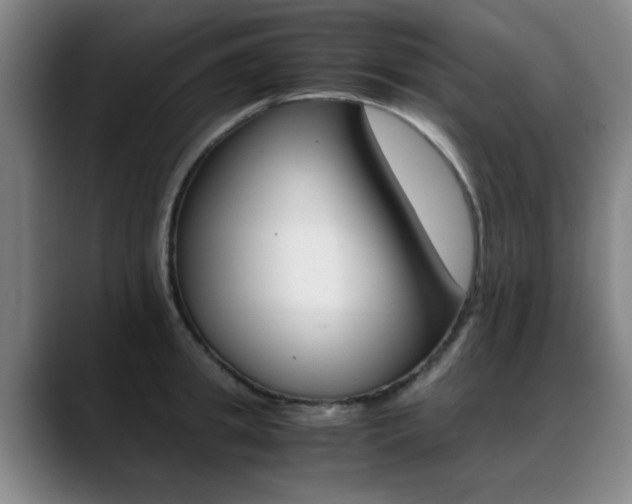 X0000089370949200706150840