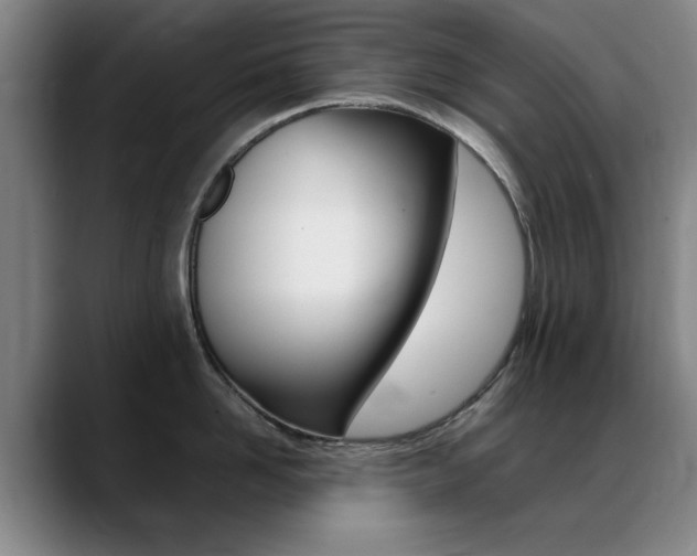 X0000089370958200706150840