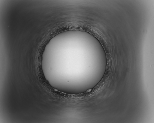 X0000089370961200706150840