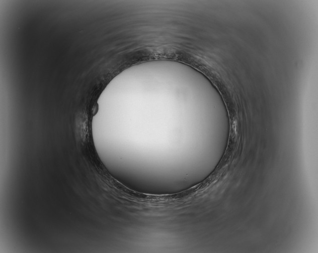 X0000089370963200706150840