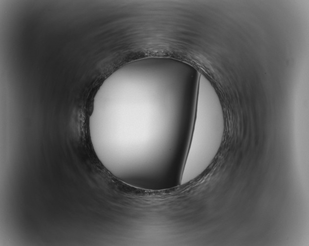 X0000089370964200706150840