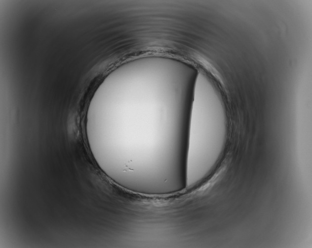 X0000089370970200706150840