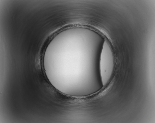 X0000089370974200706150840