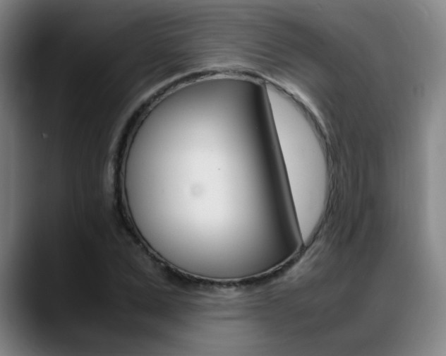 X0000089370975200706150840