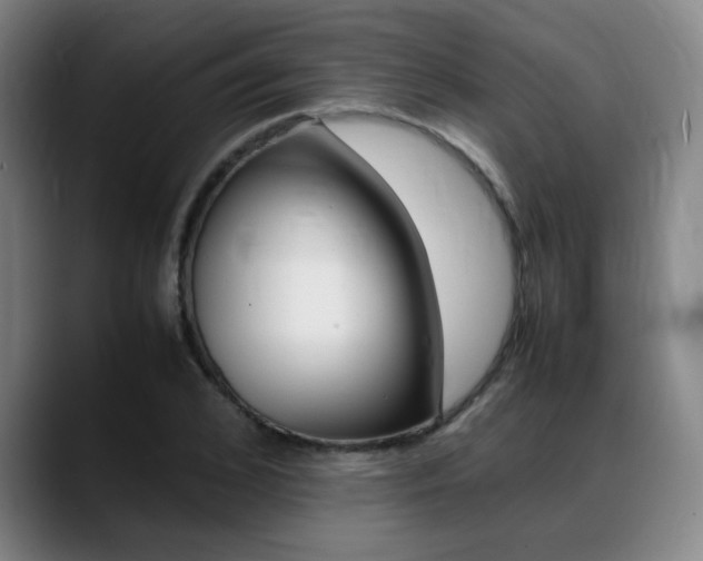 X0000089370976200706150840