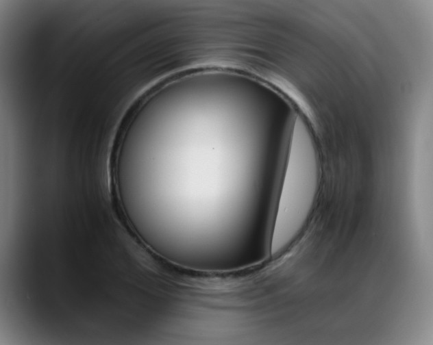 X0000089370980200706150840