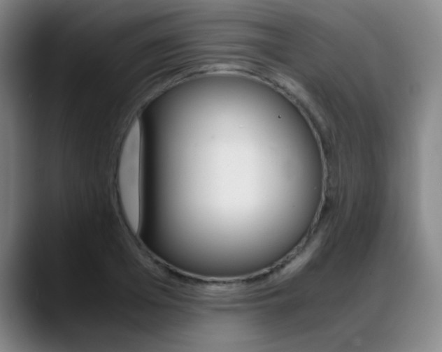 X0000089370985200706150840