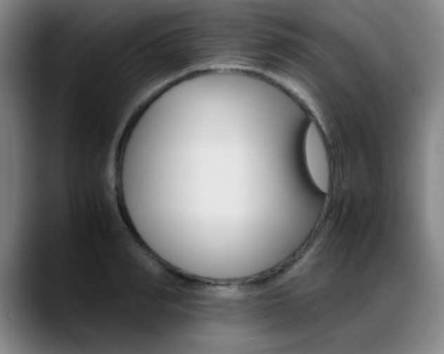 X0000089370990200706150839