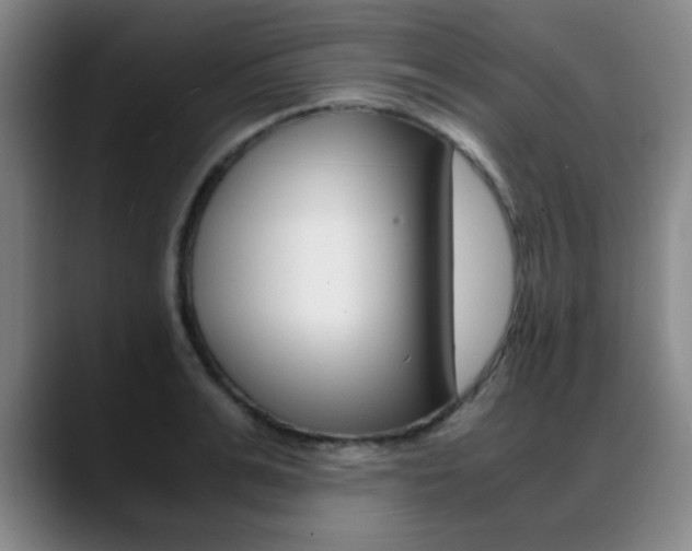 X0000089370991200706150839