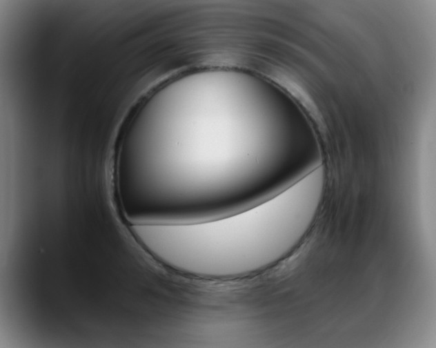 X0000089370992200706150839