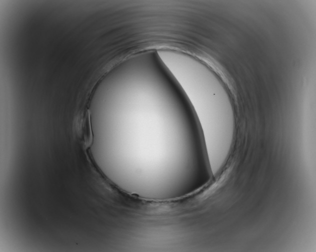 X0000089370993200706150839