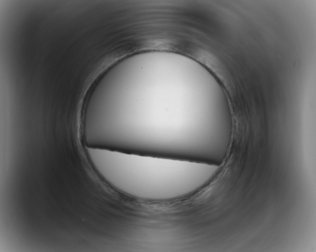 X0000089370994200706150839